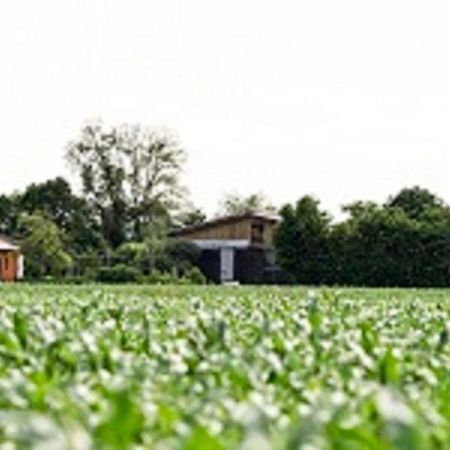 Апартаменти Demeterhof Duenninger Hofheim in Unterfranken Екстер'єр фото